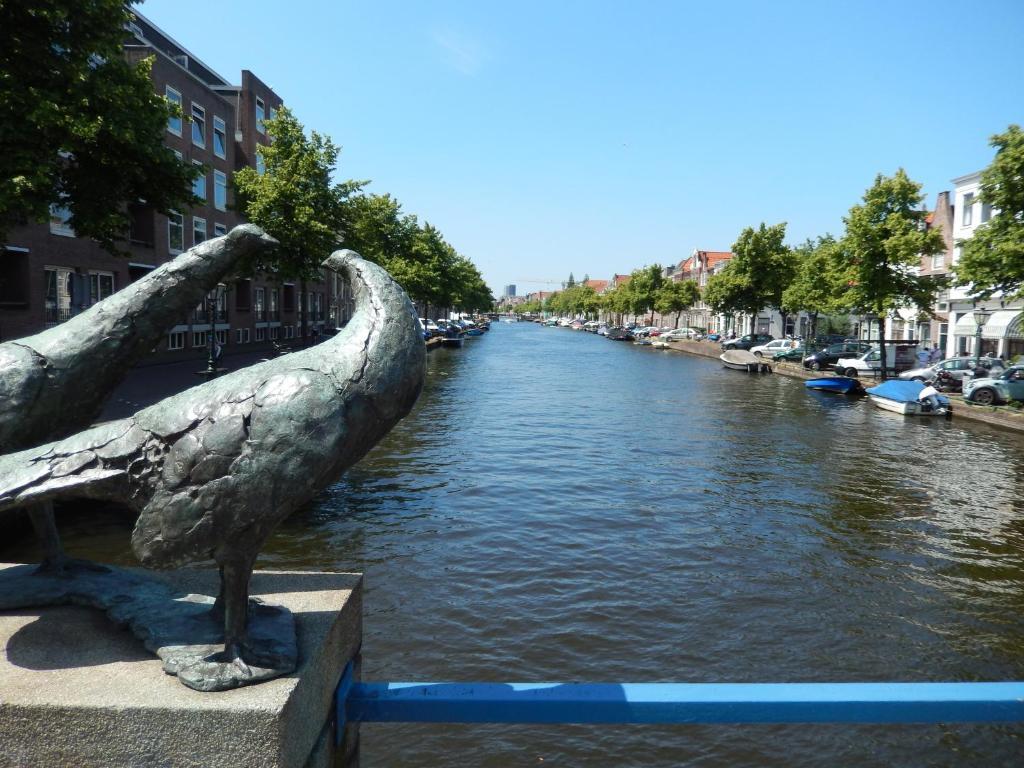 Van Leyden *